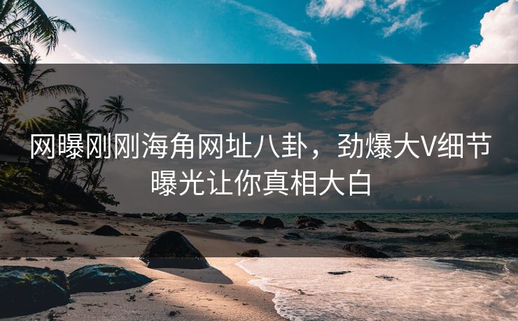 网曝刚刚海角网址八卦，劲爆大V细节曝光让你真相大白