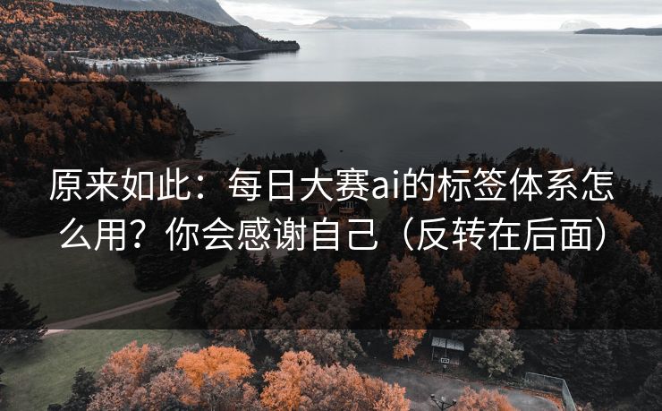 原来如此：每日大赛ai的标签体系怎么用？你会感谢自己（反转在后面）